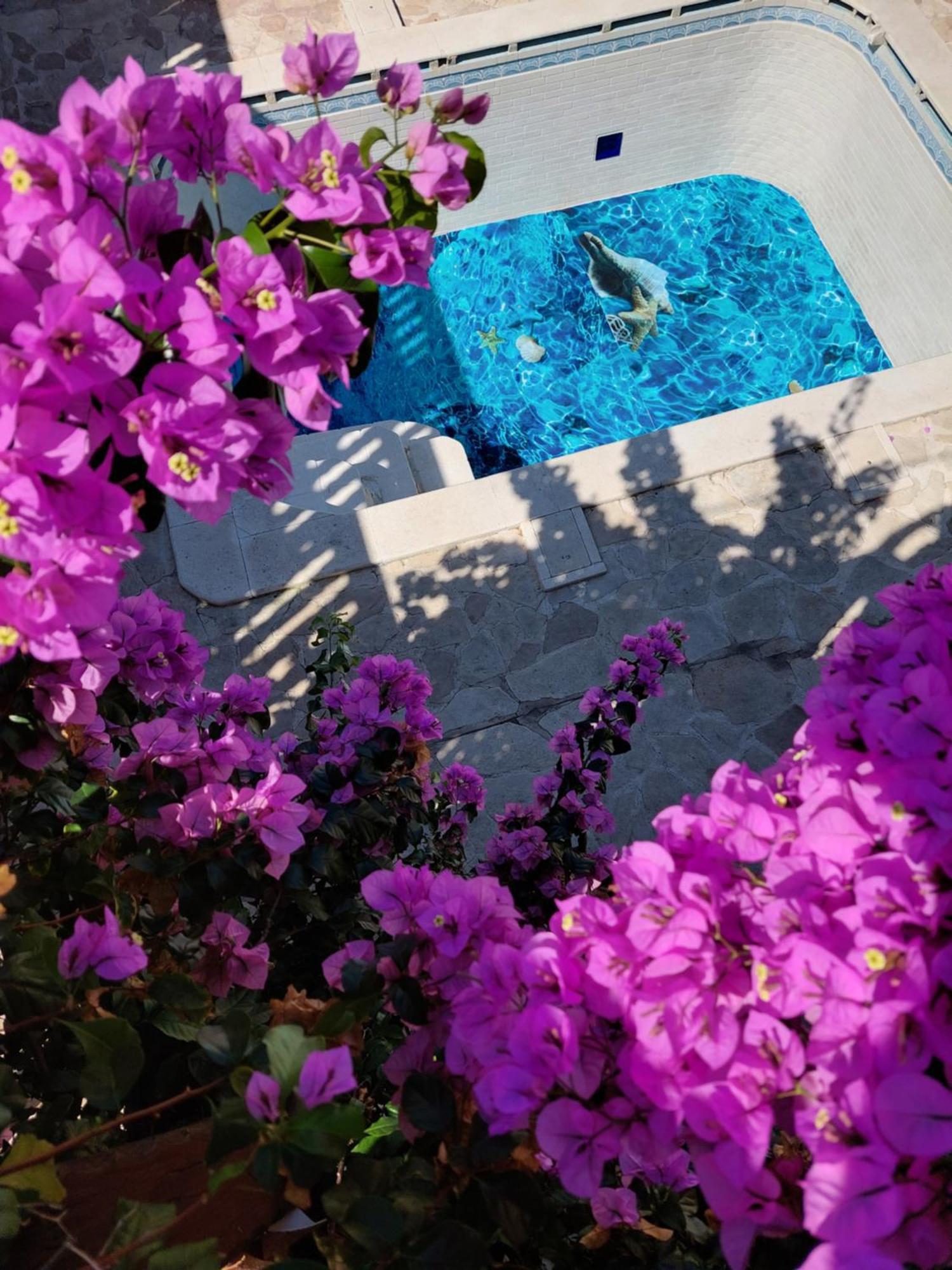 Studios Villa Romantica Zadar Exteriör bild
